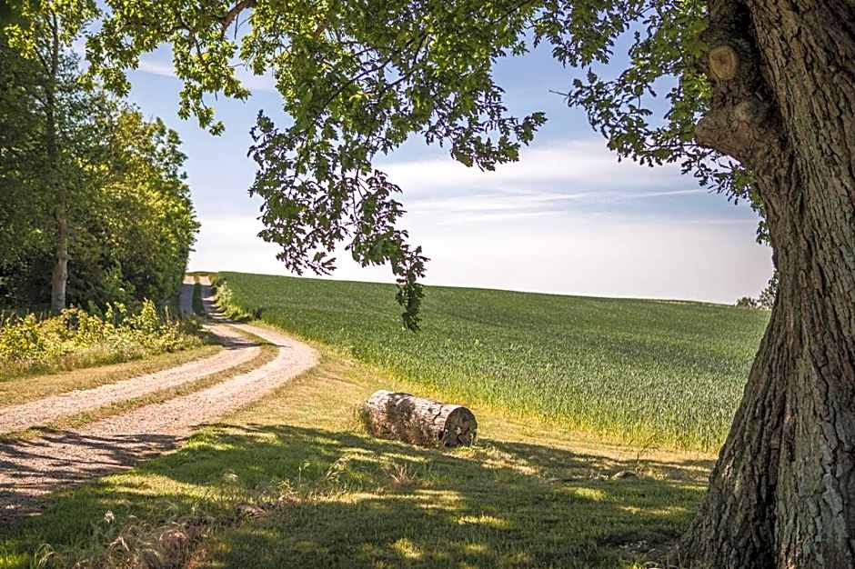 Sonnerupgaard Hotel & Konference