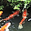 Besshoonsen Nanjyo Ryokan