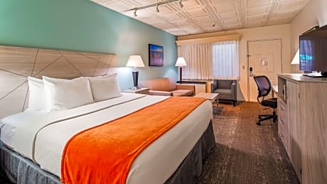 1 King Bed Non-Smoking Larger Room Sofabed Microwave And Refrigerator High Speed Internet Access Fu