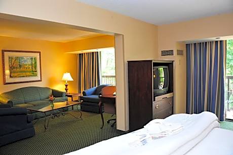 One-Bedroom King Suite - Non-Smoking
