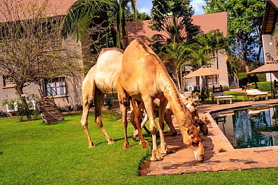 Weru Weru River Lodge