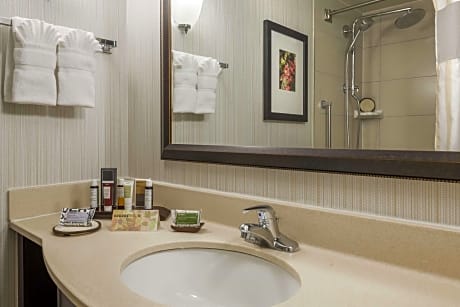 1 King Bed with Luxury Bathroom