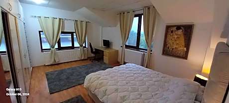 Deluxe One-Bedroom Apartment with City View