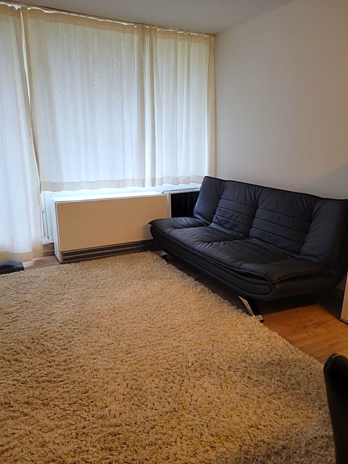 Ryan Apartament mit Netflix