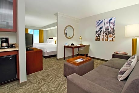 SpringHill Suites Chesapeake Greenbrier