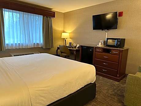 King Room - Pet Friendly/Non-Smoking