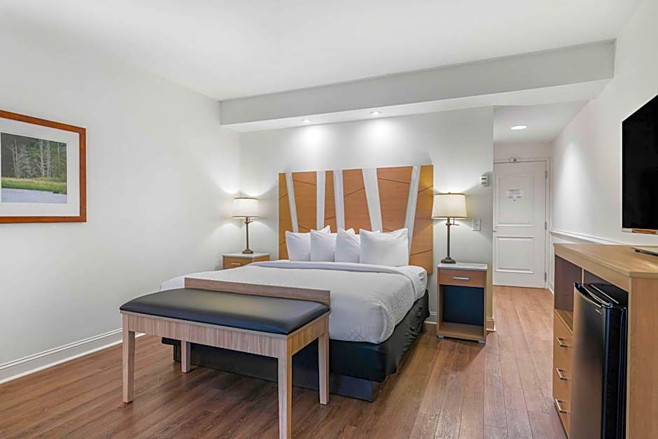 Best Western Plus Westgate Inn & Suites