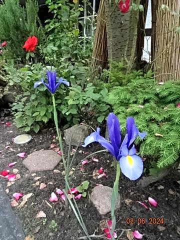 Hotel zum alten Torfkahn