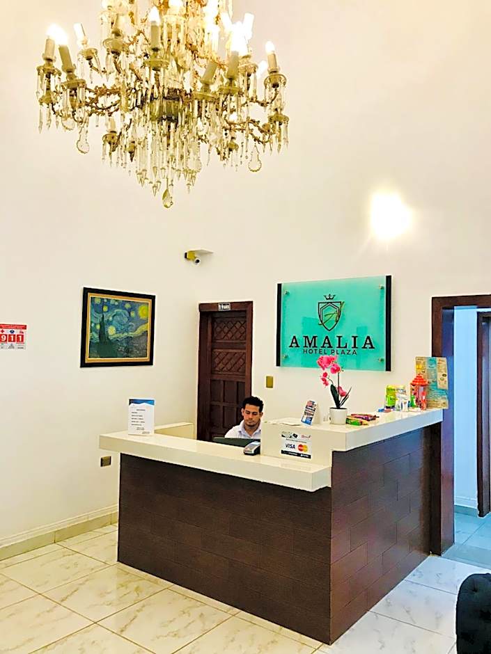 Hotel Plaza Amalia
