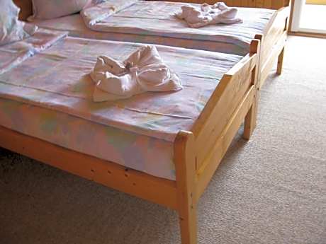 Triple Room with Shared Bathroom