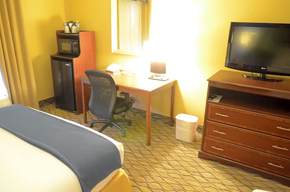 Holiday Inn Express Hotel & Suites Houston-Downtown Convention Center By IHG