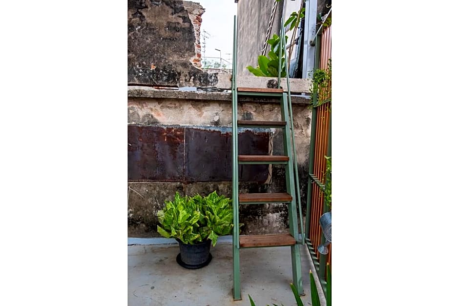 Live Local Cafe and Hotel 420 Cannabis Friendly