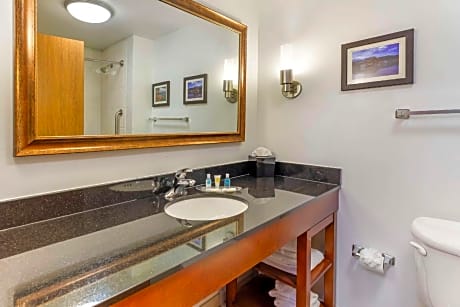 1 King Bed, Business Room, Suite, Nonsmoking