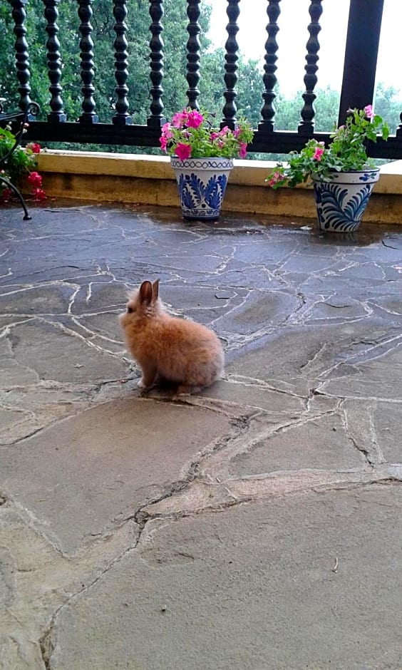 Villa La Croix Basque