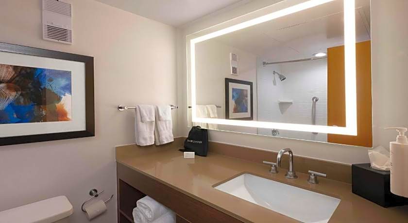 Embassy Suites by Hilton Dallas DFW Airport South