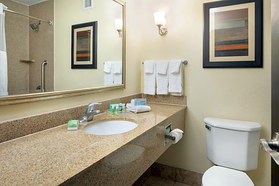 Holiday Inn and Suites Charleston West by IHG