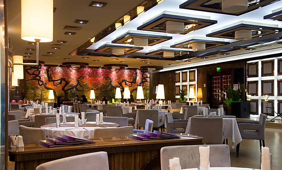 Hotel Cartoon Razgrad