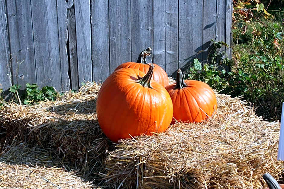 Days Inn by Wyndham Berthierville