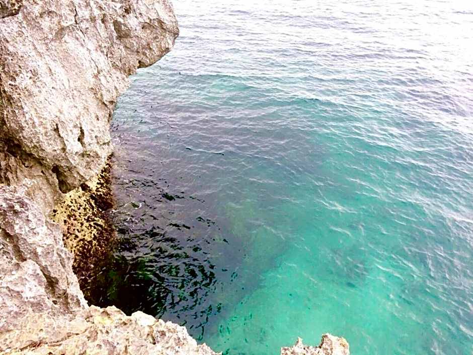 CampSarap Hostel & Resort