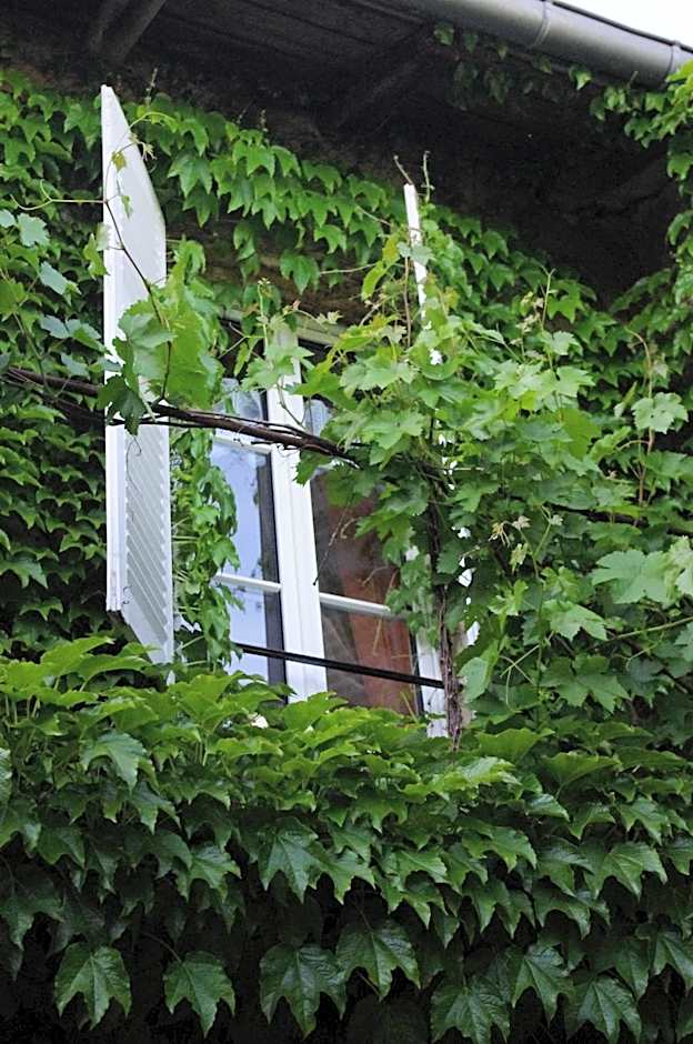 Chambres d'hôtes Au presbytère