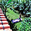 Akachichi Guesthouse