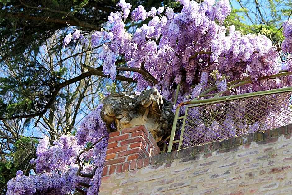 LA CUCCAGNA DI DON BOSCO - No landlords and neighbours - Absolute privacy!