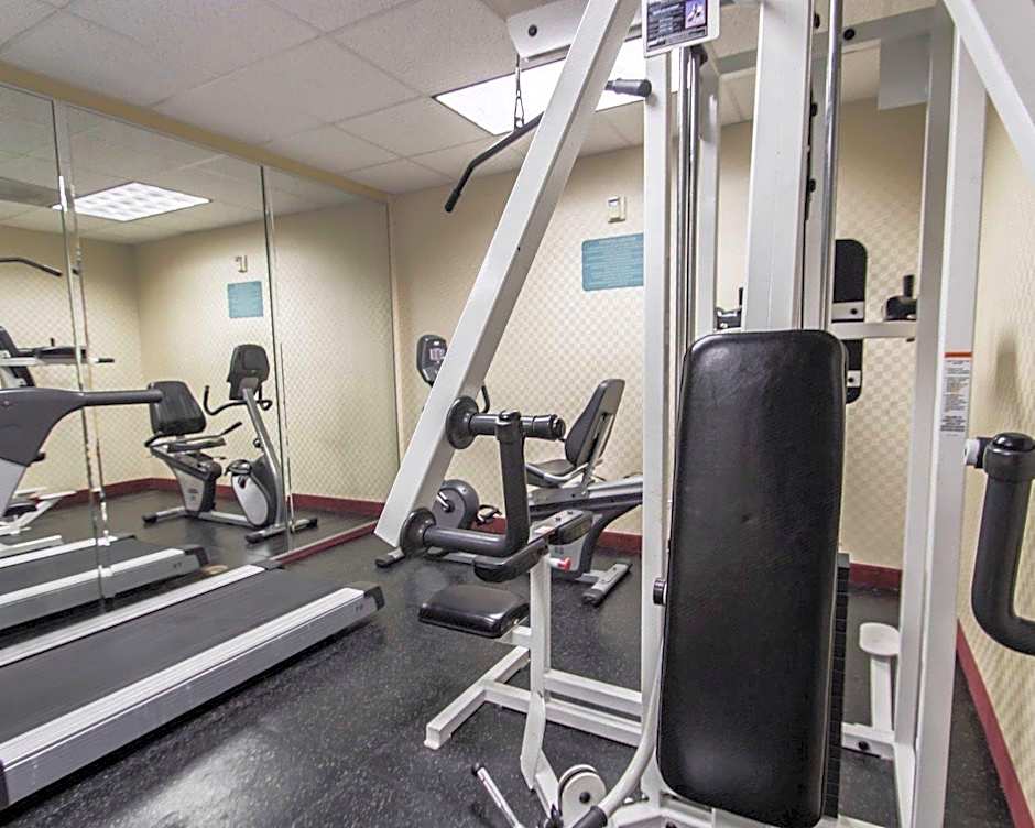Comfort Inn & Suites Maingate South