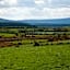 Maghernahar House B&B