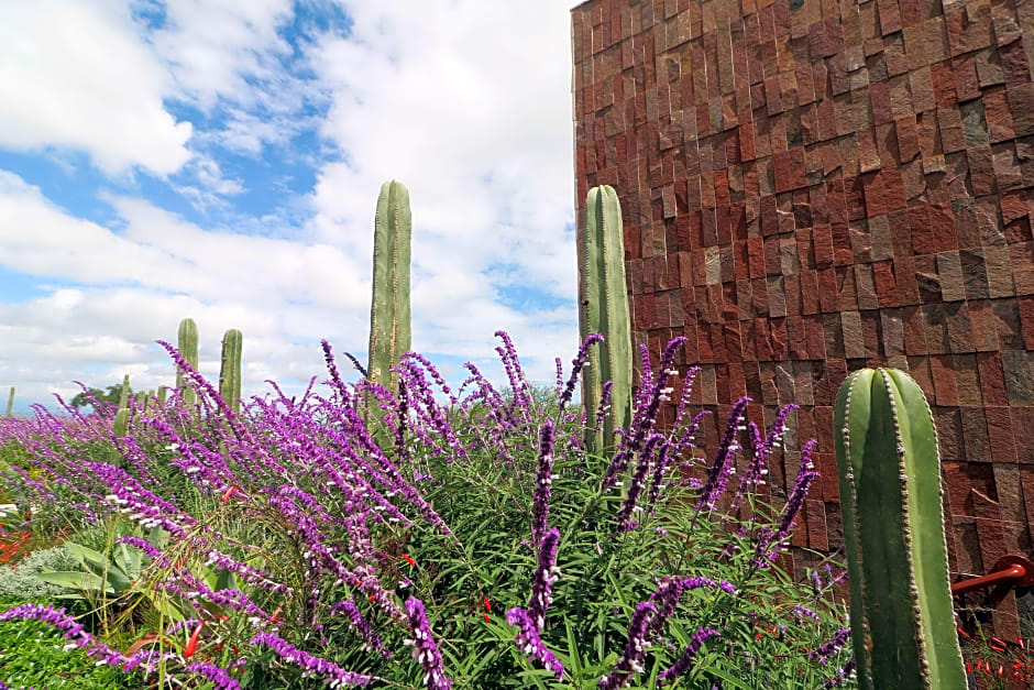 Albor San Miguel de Allende, Tapestry Collection