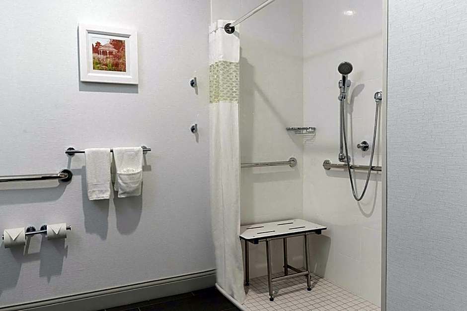 Hampton Inn By Hilton Mt. Pleasant