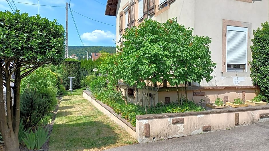 Studio d'hôtes à 10 km de Gérardmer (Le Tholy)