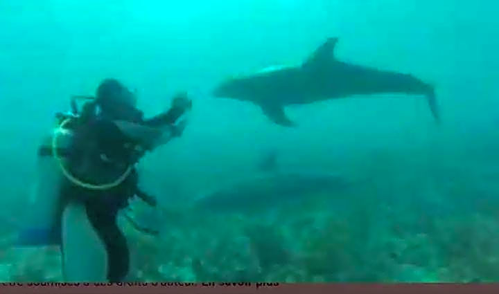 Chez Anne - Grand Caz