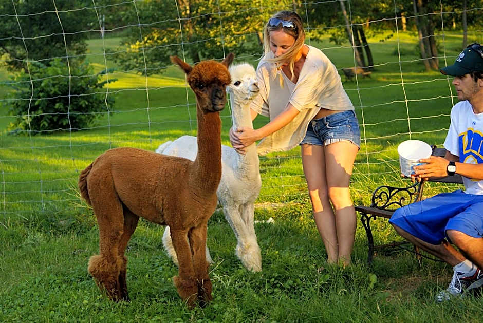 Liftlock Guest House