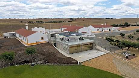 Monte Vale - Organic Farm