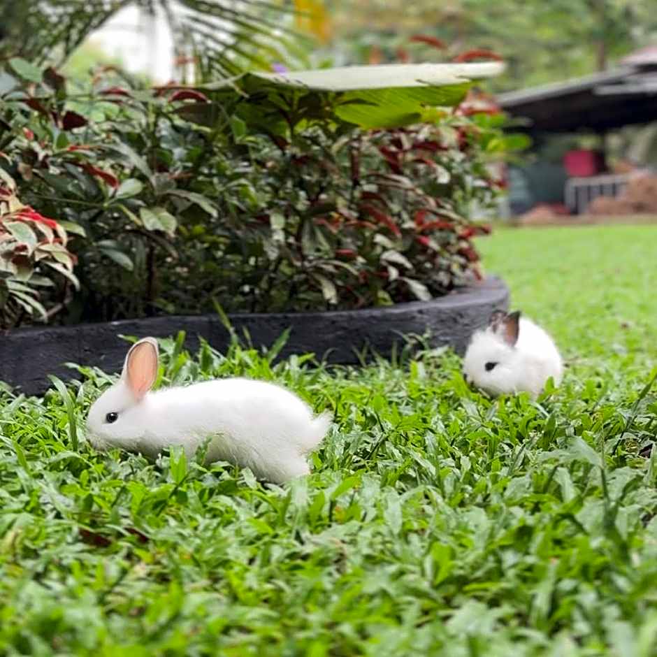 AKAR Hotels & Resort Lampung