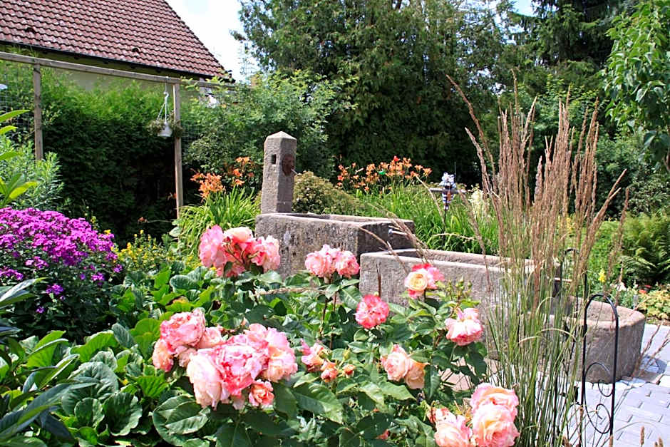 HOTEL SPATZENNEST Vogelsberg