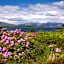 Isle of Eriska Hotel Spa & Island