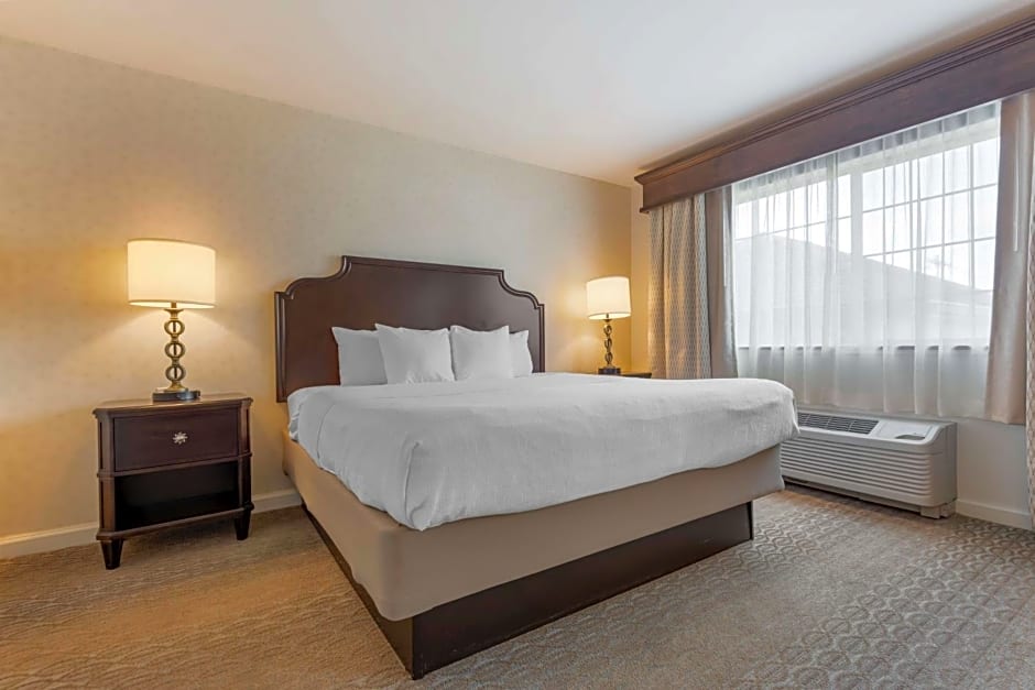 Best Western PLUS Vineyard Inn and Suites