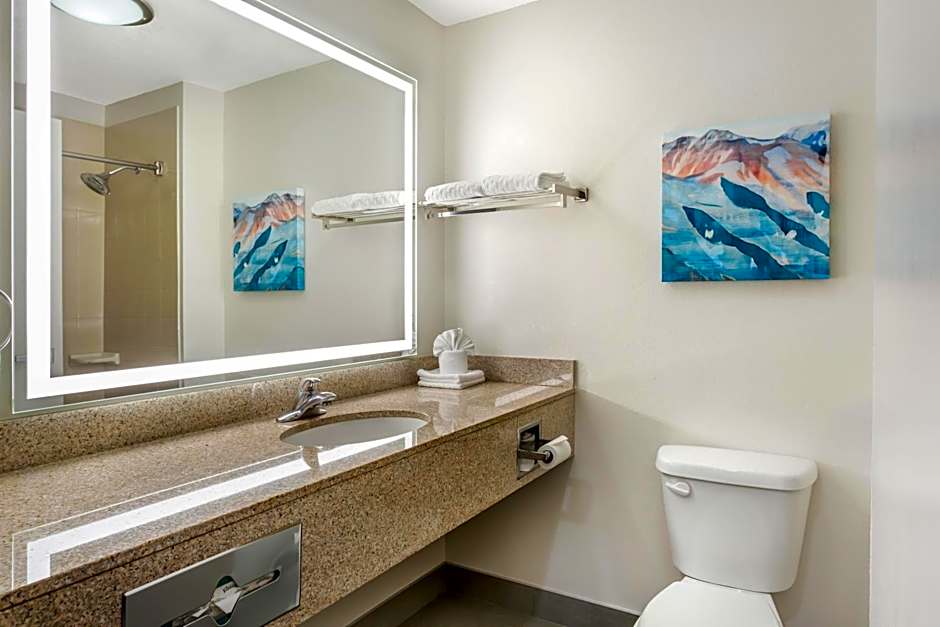 Best Western Plus Airport Inn & Suites