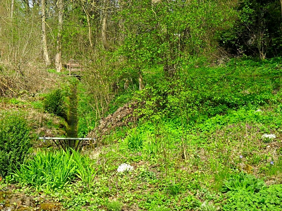 Höllenmühle Bed & Breakfast at the Mill Pond