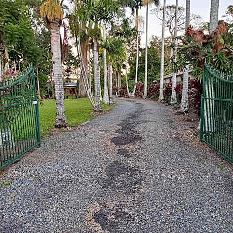 Apartment with Garden View
