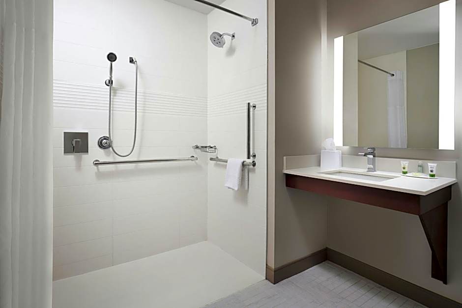 TownePlace Suites by Marriott New Orleans Downtown/Canal Street