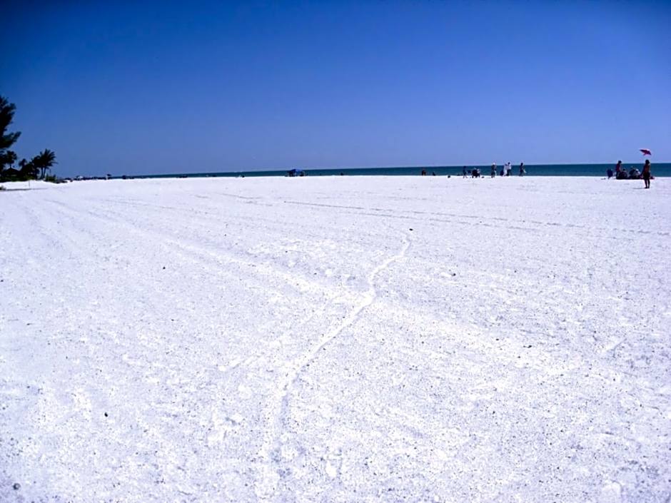 Anna Maria Island Beach Palms 6B