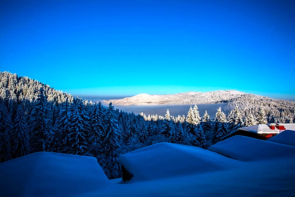 Sunny Hills Ski&Wellness