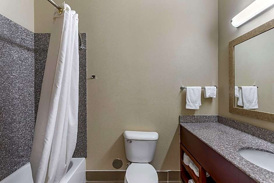 Comfort Inn & Suites Carbondale University Area