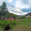 Enz Residenz
