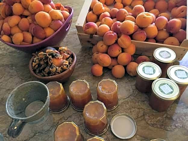Les Aiguières en Provence