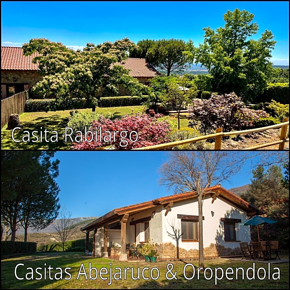 Finca La Sayuela — 50 fotoğraftan 1. fotoğraf