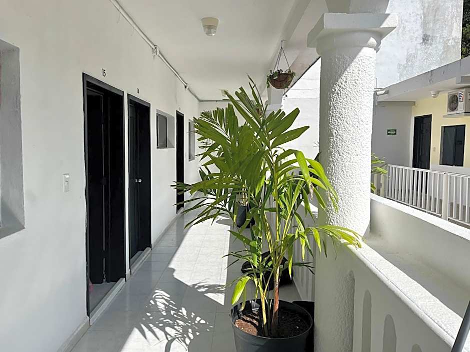 BALAM Playa - 15Th Ave