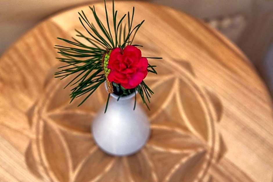 Aparthotel Rabiań-SKI 10metrów do wyciagu połączonego z całą Kotelnicą na miejscu wypoożyczalnia z serwisem